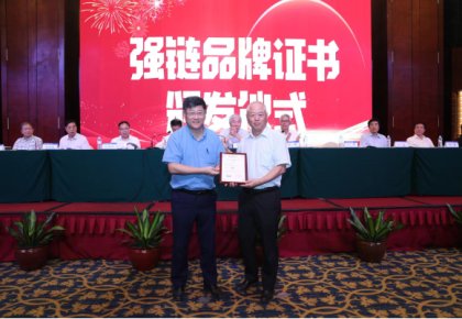 登榜！麻将胡了PG入选首批船舶工业“强链品牌”
